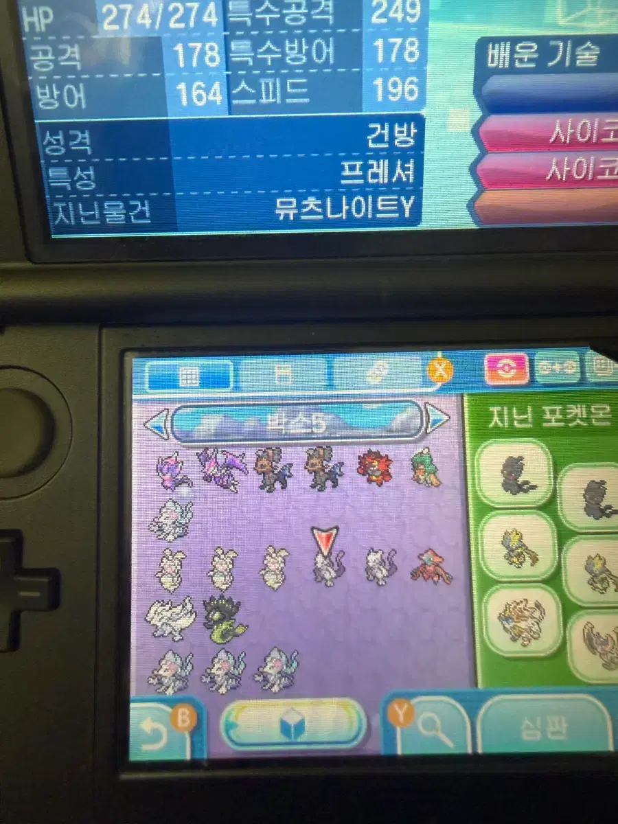 thumbnail-6